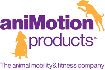 Animotion Products