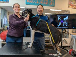 Testimonial from Ruff Day Vet